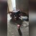 Dergûl’da iki gündür elektrik yok