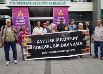 Roboskî Katliamı 177’nci ayında: Cezasızlık sona ermeden barış kalıcılaşmaz