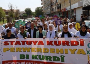 Anadil için yürüyüş: Mücadelemizi yükselteceğiz