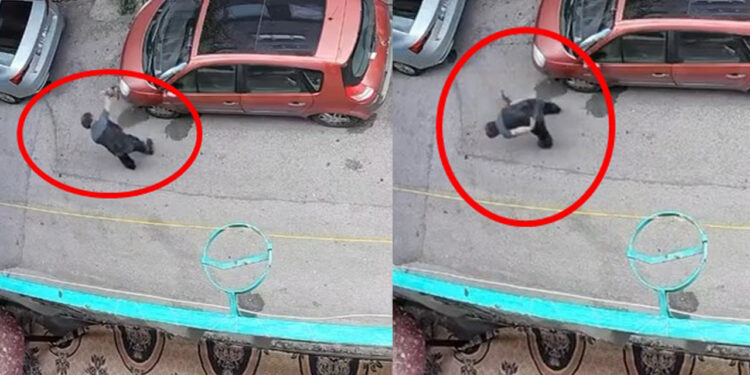 Bulun Bu Caniyi! Kediyi Kafasından Tutup Betona Çarptı