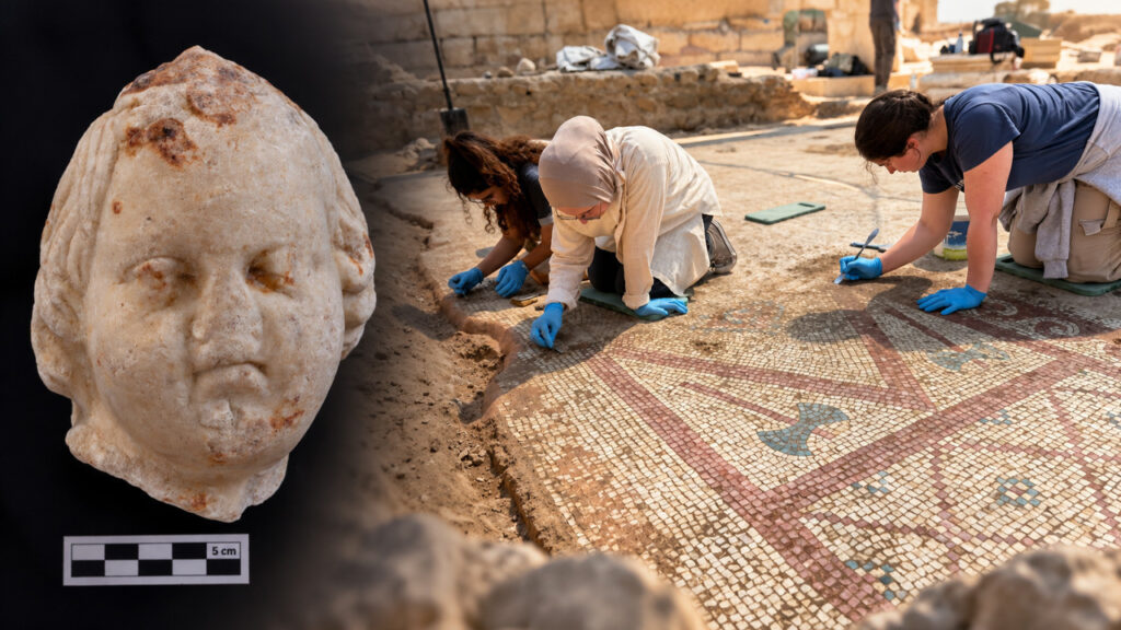 Karadeniz’in Efes’inde 1700 Yıllık İhtişam: 105 Metrekarelik Mozaik ve Eros Başı Bulundu