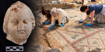 Karadeniz’in Efes’inde 1700 Yıllık İhtişam: 105 Metrekarelik Mozaik ve Eros Başı Bulundu