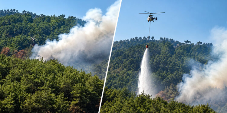 Kozan’da Kabus Geri Döndü: Kontrol Altına Alınan Orman Yangını Yeniden Başladı