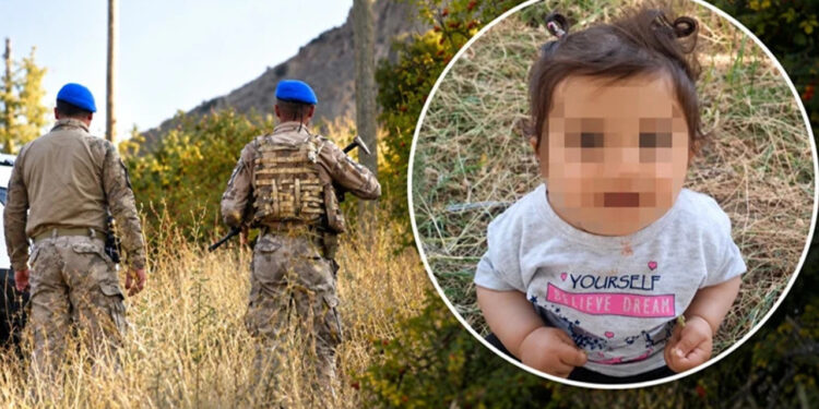 Sivas'ta Kahreden Gizem: 11 Aylık Büşra Bebeği Arama Çalışmalarında 8. Gün! Yapay Zeka Devrede