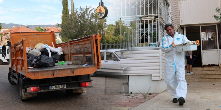 Yaşlı Kadının Evinden Çıkanlar Şok Etti: Tam Bir Kamyon...