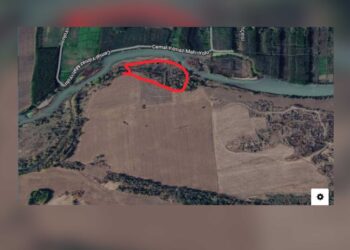 Hevsel ve Dicle Üniversitesi’nin arazilerinde kenevir yetiştiriliyor iddiası