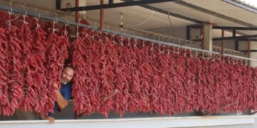 Hatay’da balkonlar kırmızıya büründü! Kilosu 500 TL’den satılıyor