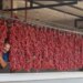 Hatay’da balkonlar kırmızıya büründü! Kilosu 500 TL’den satılıyor