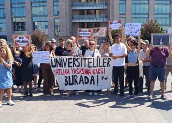 Okmeydanı’nda 9 kedinin öldürülmesine ilişkin suç duyurusu