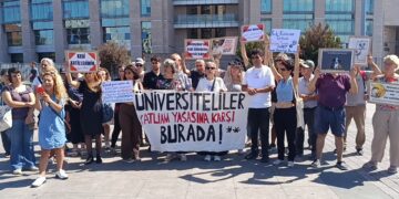 Okmeydanı’nda 9 kedinin öldürülmesine ilişkin suç duyurusu