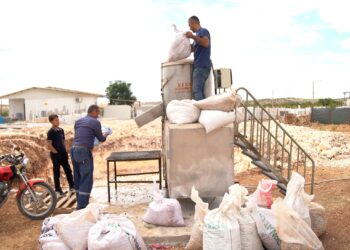 Kerboran Belediyesi’nden üreticiye ücretsiz destek