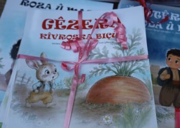 Amed Kürt Enstitüsü’nden çocuklara Kürtçe masal dizisi