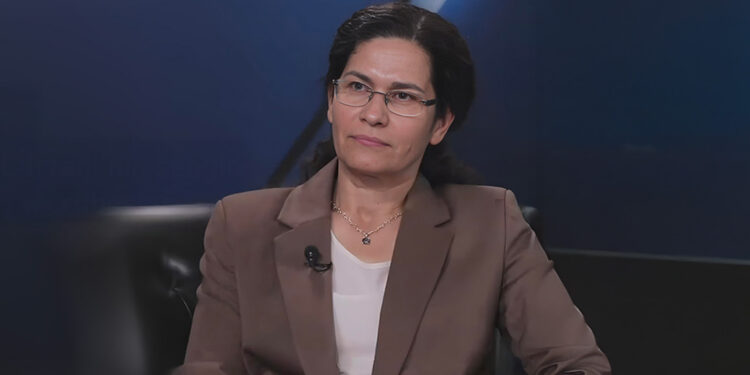 Efrîn’e dönenlerin ev ve arazilerine el konuluyor: Îlham Ehmed’den çözüm çağrısı