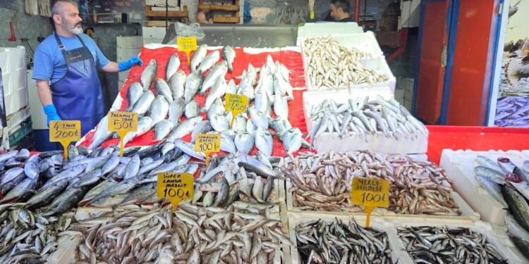 Kırmızı ete meydan okuyor, cüzdanları üzmüyor! Tanesi 40 liraya düştü…