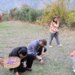 Altından bile değerli olunca, esnaflığı bırakıp ekime başladı! Sadece sabahın ilk ışıklarında hasat ediliyor…