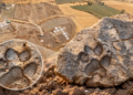 Arkeologları şaşırtan keşif: Tavşanlı Höyük’te 4 bin yıllık pati izi bulundu