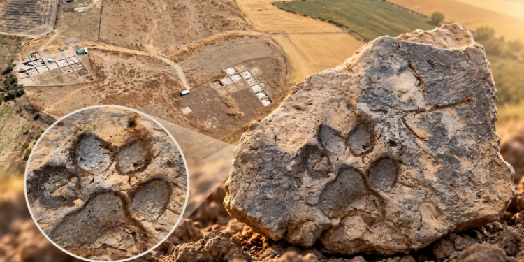 Arkeologları şaşırtan keşif: Tavşanlı Höyük’te 4 bin yıllık pati izi bulundu