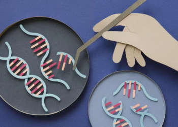 Gen tedavisinde laboratuvar dönemi kapanıyor: İnsan vücudunda doğrudan DNA düzenleme dönemi başladı