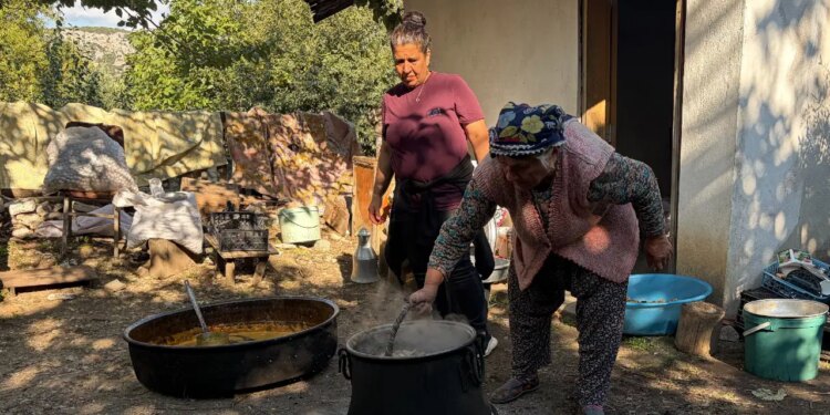 Toros Dağları’ndan toplayıp kazanlara atıyorlar! ‘Yapmayan çöpe atmak zorunda kalıyor’