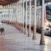 Marmaray’da 1 kişi yaşamına son verdi