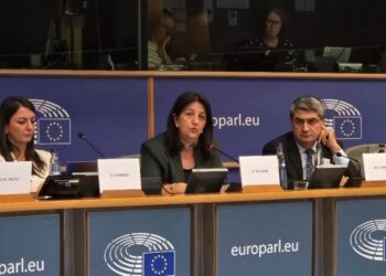 Pervin Buldan: Kürt sorununun demokratik çözümü, huzur içinde yaşayabilmenin güvencesidir