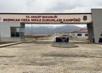 Erzincan Cezaevi’nden tahliye edilmişti: Ziynet Sağlam Göç izleme merkezine götürüldü