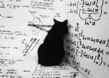 Kuantum fiziğinde evrensel ezber bozuldu: Schrödinger’in saklı makalesi determinizm tartışmasını yeniden başlattı