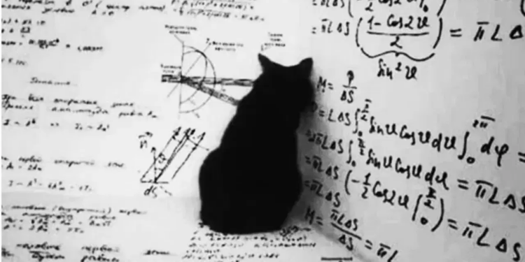 Kuantum fiziğinde evrensel ezber bozuldu: Schrödinger’in saklı makalesi determinizm tartışmasını yeniden başlattı
