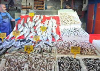 Derin dondurucular da yer Açın! Tanesi 50 liraya düştü, yurttaş kuyruk oldu…