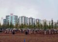 Amed Büyükşehir Belediyesi son üç ayda 9 bin ağaç dikti