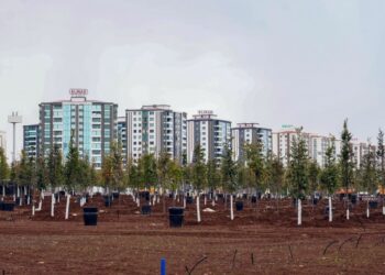 Amed Büyükşehir Belediyesi son üç ayda 9 bin ağaç dikti