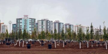 Amed Büyükşehir Belediyesi son üç ayda 9 bin ağaç dikti