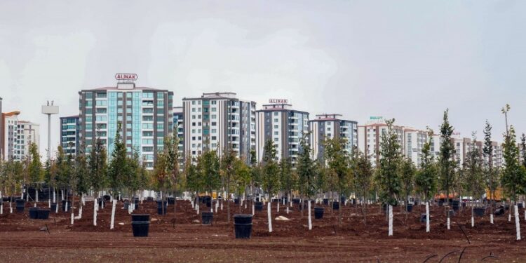 Amed Büyükşehir Belediyesi son üç ayda 9 bin ağaç dikti
