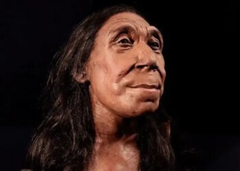 75 bin yıllık Neandertal kalıntısında dikkat çeken bulgu: En eski şiddet kanıtı olabilir