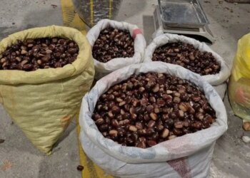 Ne pazarda ne markette bulabilirsiniz! Doğrudan üniversite kapısında satılan şifa kaynağı…
