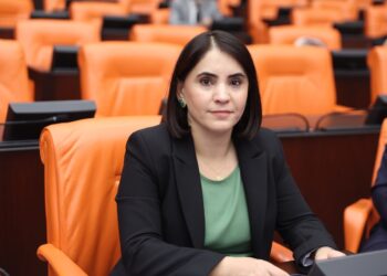 Nevroz Uysal Aslan: İdare ve Gözlem Kurullarının kaldırılması bir zorunluluktur