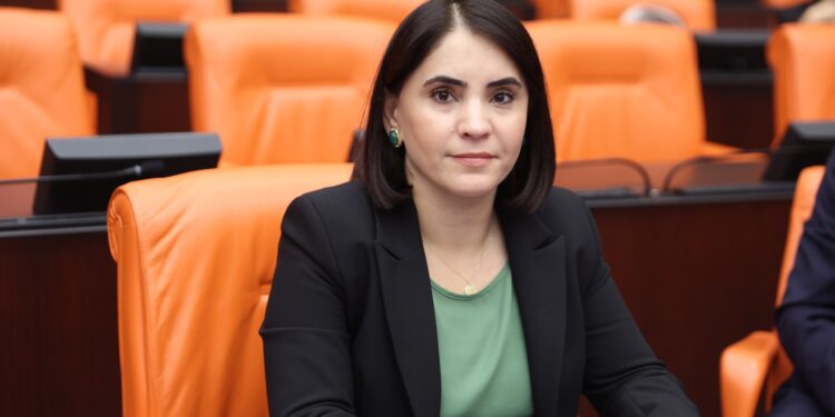 Nevroz Uysal Aslan: İdare ve Gözlem Kurullarının kaldırılması bir zorunluluktur