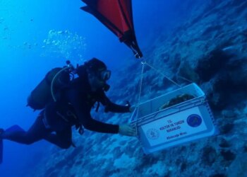 Antalya’daki antik batıkta denizcilerin günlük yaşamına ilişkin izler bulundu