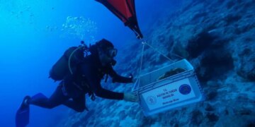 Antalya’daki antik batıkta denizcilerin günlük yaşamına ilişkin izler bulundu