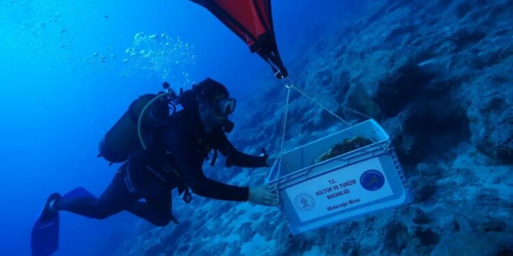 Antalya’daki antik batıkta denizcilerin günlük yaşamına ilişkin izler bulundu