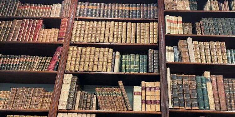 Yapay zeka şirketleri akademik yayıncılığı tehdit ediyor