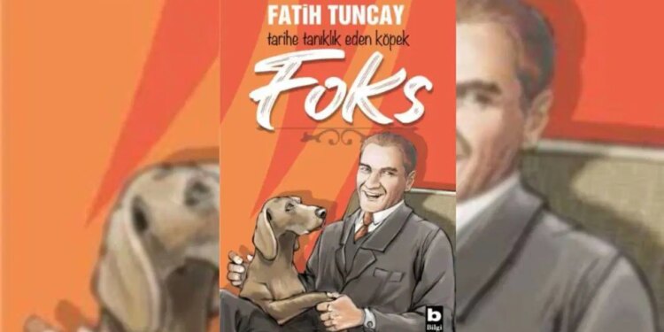 Foks’un Gözünden