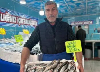 Ne hamsi ne palamut! Van’da yurttaşın balık terci bambaşka: Kilosu 150 TL
