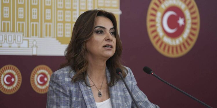 Gülistan Kılıç Koçyiğit’ten fon vurgunu açıklaması: Kanun geçti, hesap veren yok