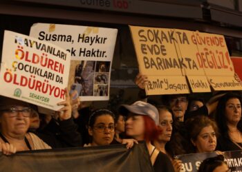 Hayvanları Koruma Günü: Öldürmeyi değil yaşamı esas alan yasa istiyoruz