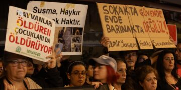 Hayvanları Koruma Günü: Öldürmeyi değil yaşamı esas alan yasa istiyoruz