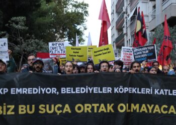 Hayvan hakları savunucularından eylem