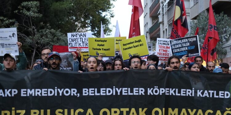 Hayvan hakları savunucularından eylem