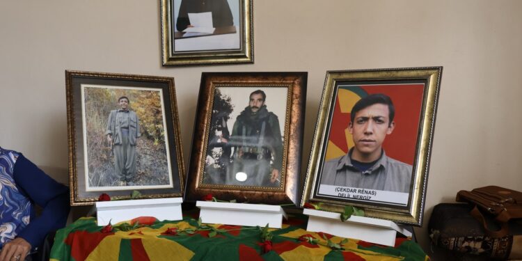 HPG’li Delil Nergis’in taziyesine ziyaret