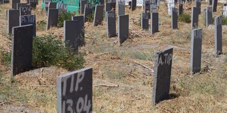 Wan’da 14 cenaze teşhis edilmeyi bekliyor: Aileler başvurup, DNA vermeli